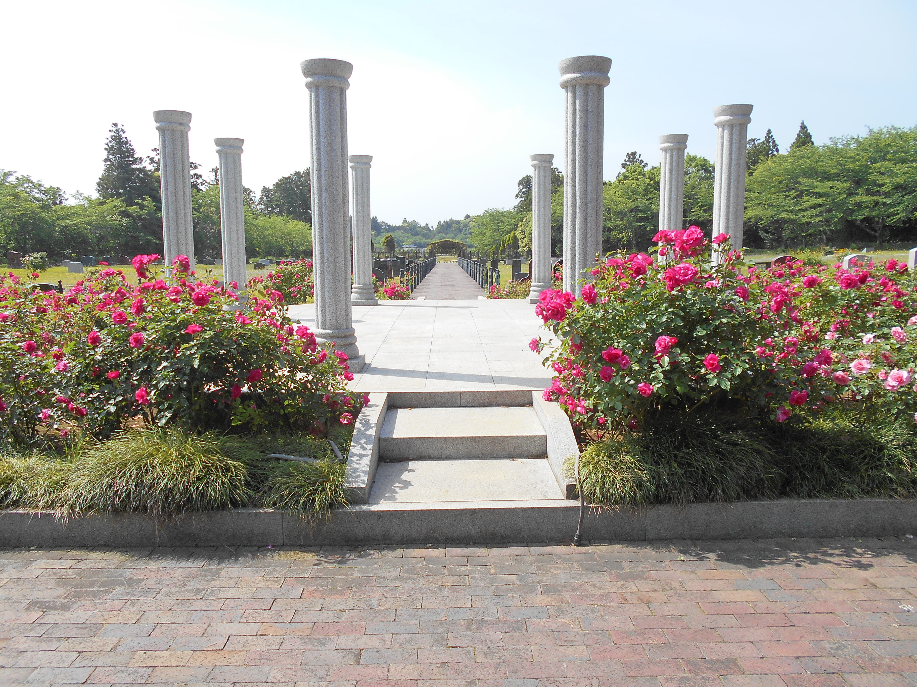成田メモリアルパーク風景