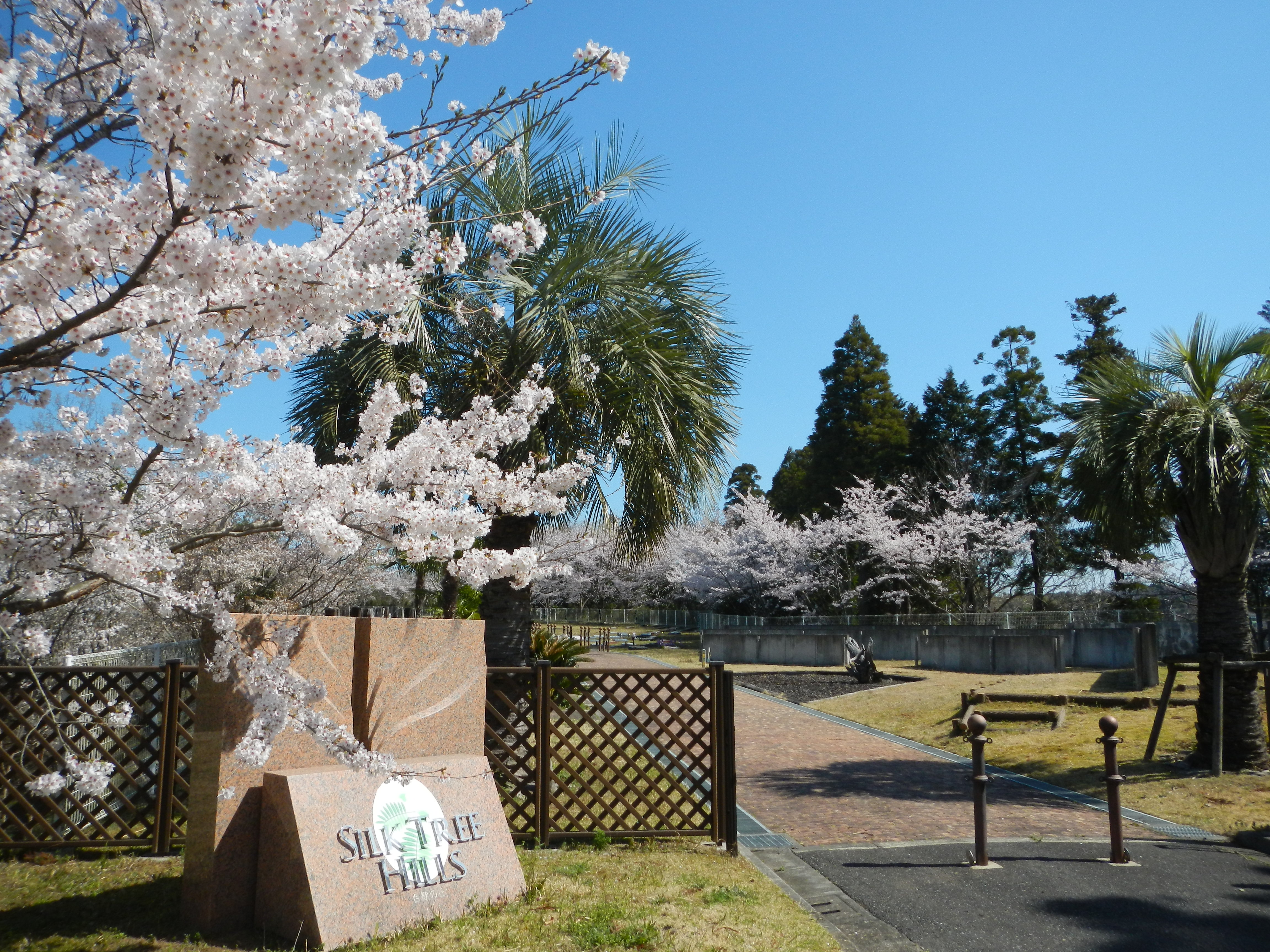 成田メモリアルパーク夫婦墓・個人墓
