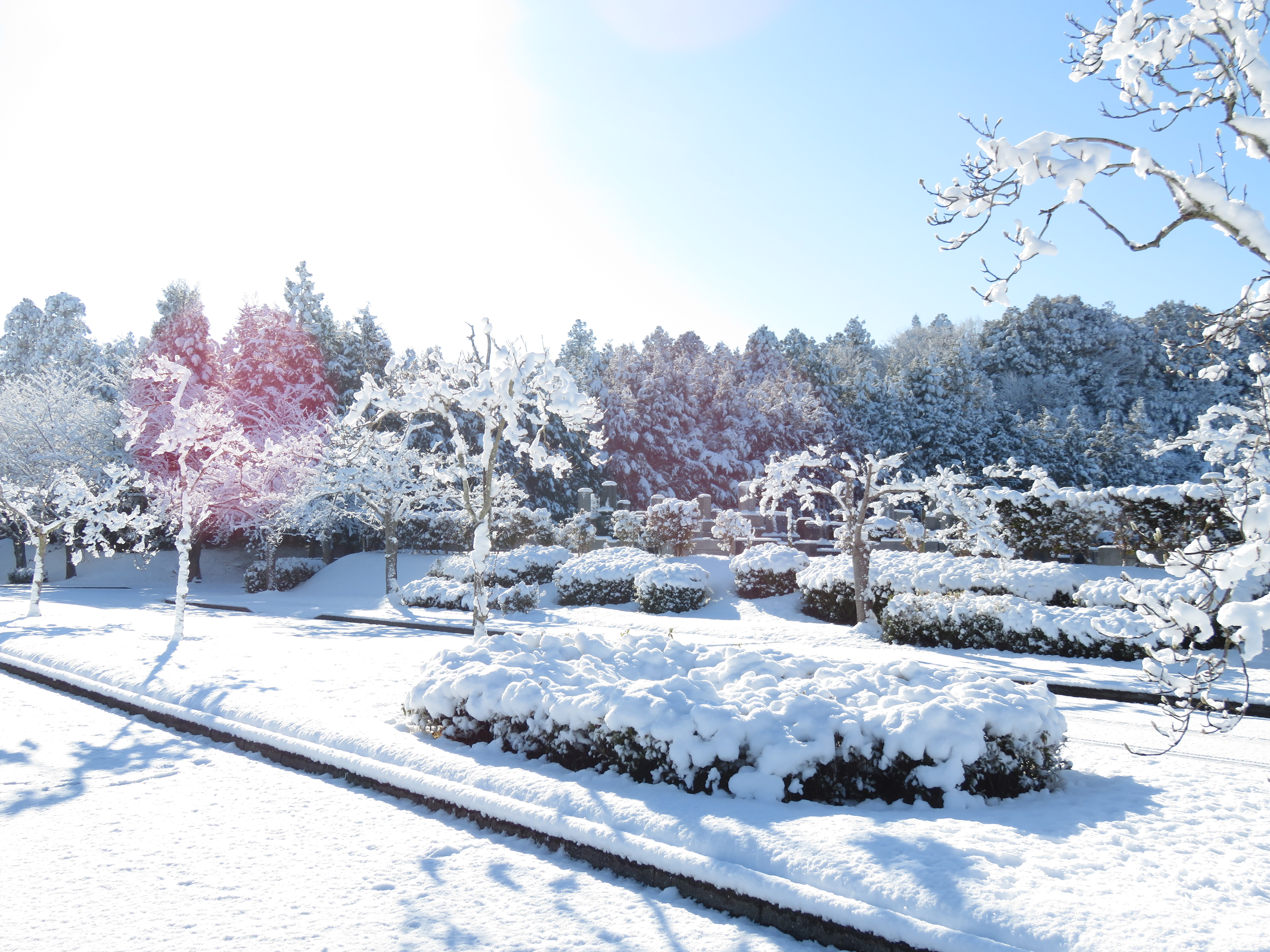 成田メモリアルパーク風景