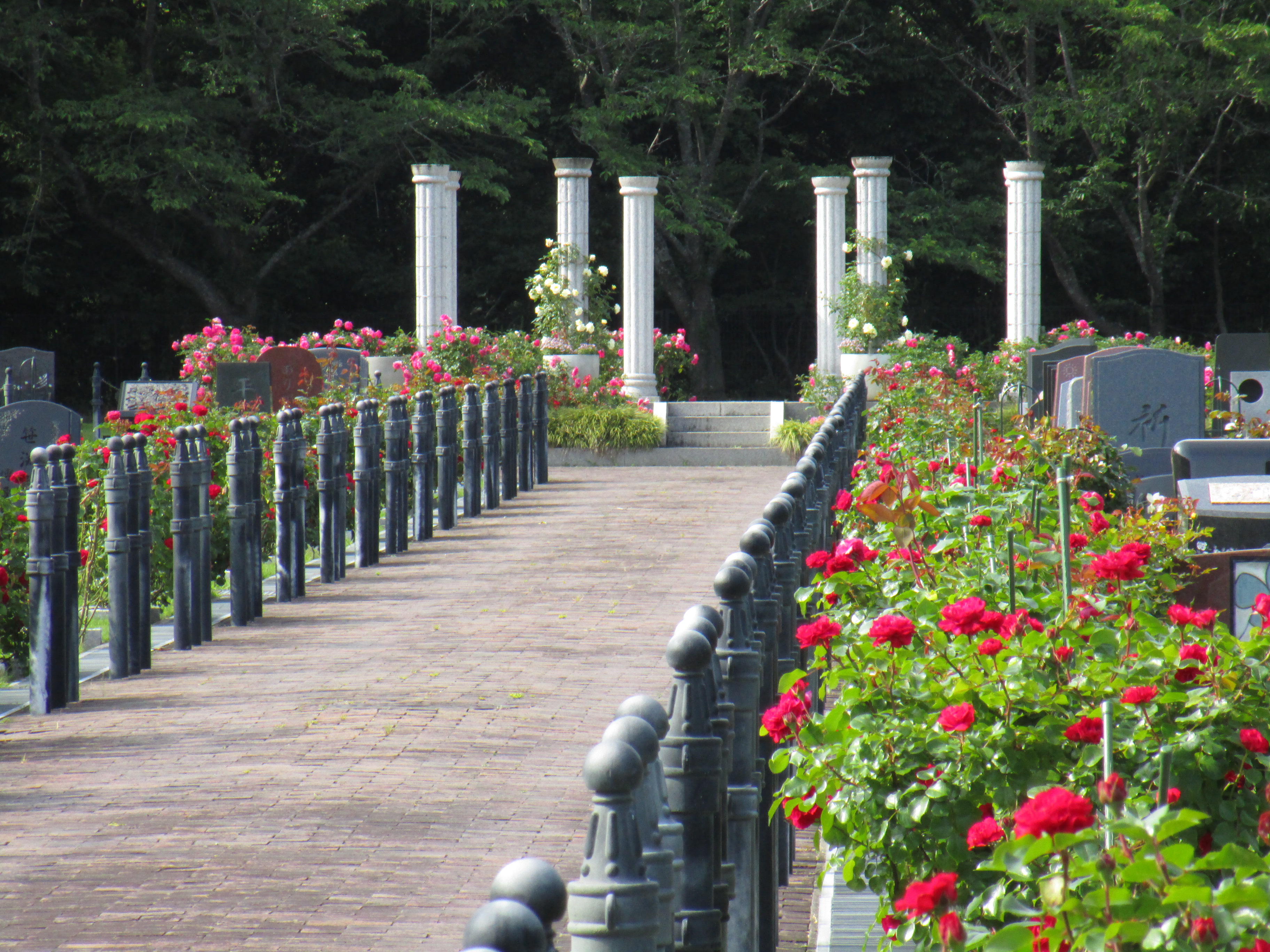 成田メモリアルパーク風景