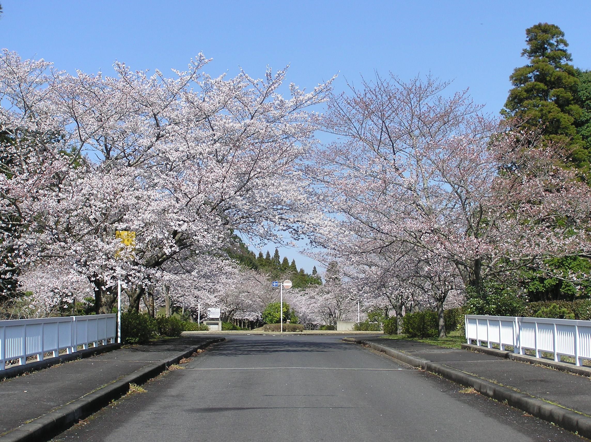 成田メモリアルパーク風景